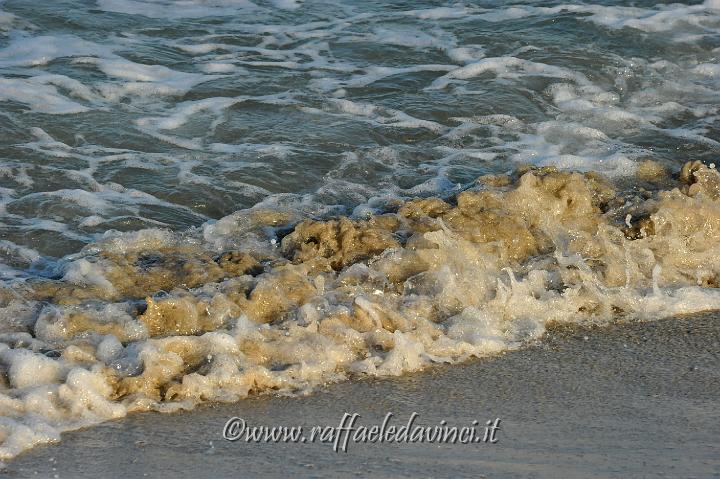 11.5.2011 Saline di Priolo con Antonella (412).jpg